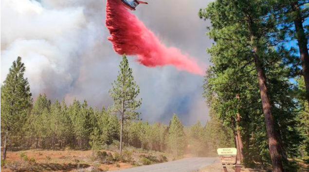 西部野火：加州大火横穿内华达州